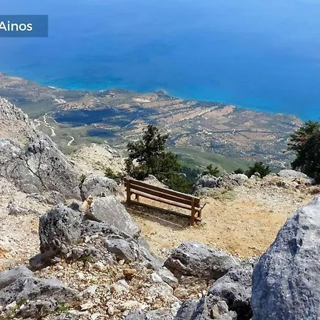 Olive Grove *